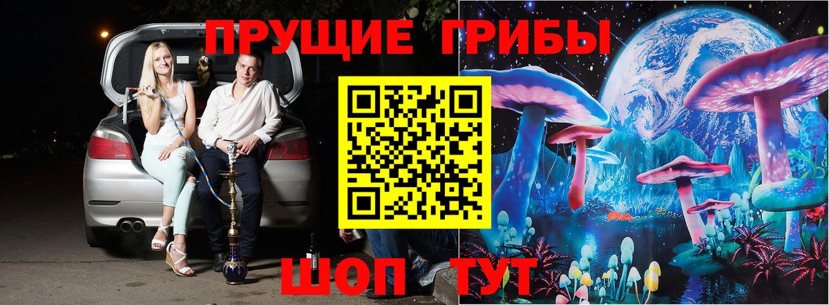Галлюциногенные грибы Psilocybine cubensis  Вход с VPN  Псилоцибиновые грибы прущие грибы  Абакан 